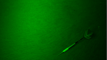 godhelm_dart.png GrayscaleGreen