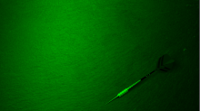 godhelm_dart.png SwapBRGGreen