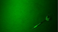 godhelm_dart.png SwapRGBGreen