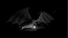 godhelm_drache.png Grayscale