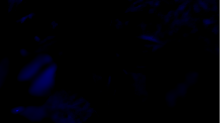 godhelm_expand.png SwapBRGBlue