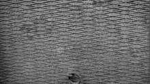 godhelm_grunge-texture.png Grayscale