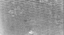 godhelm_grunge-texture.png GrayscaleInvert