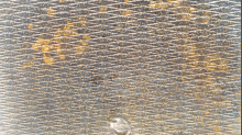 godhelm_grunge-texture.png InvertBGR