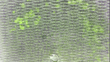 godhelm_grunge-texture.png InvertGBR