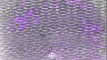 godhelm_grunge-texture.png InvertGRB