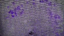 godhelm_grunge-texture.png SwapGBR