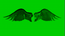 godhelm_wings-3d.png InvertBGRGreen