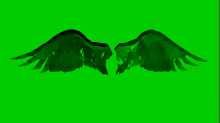 godhelm_wings-3d.png InvertGBRGreen