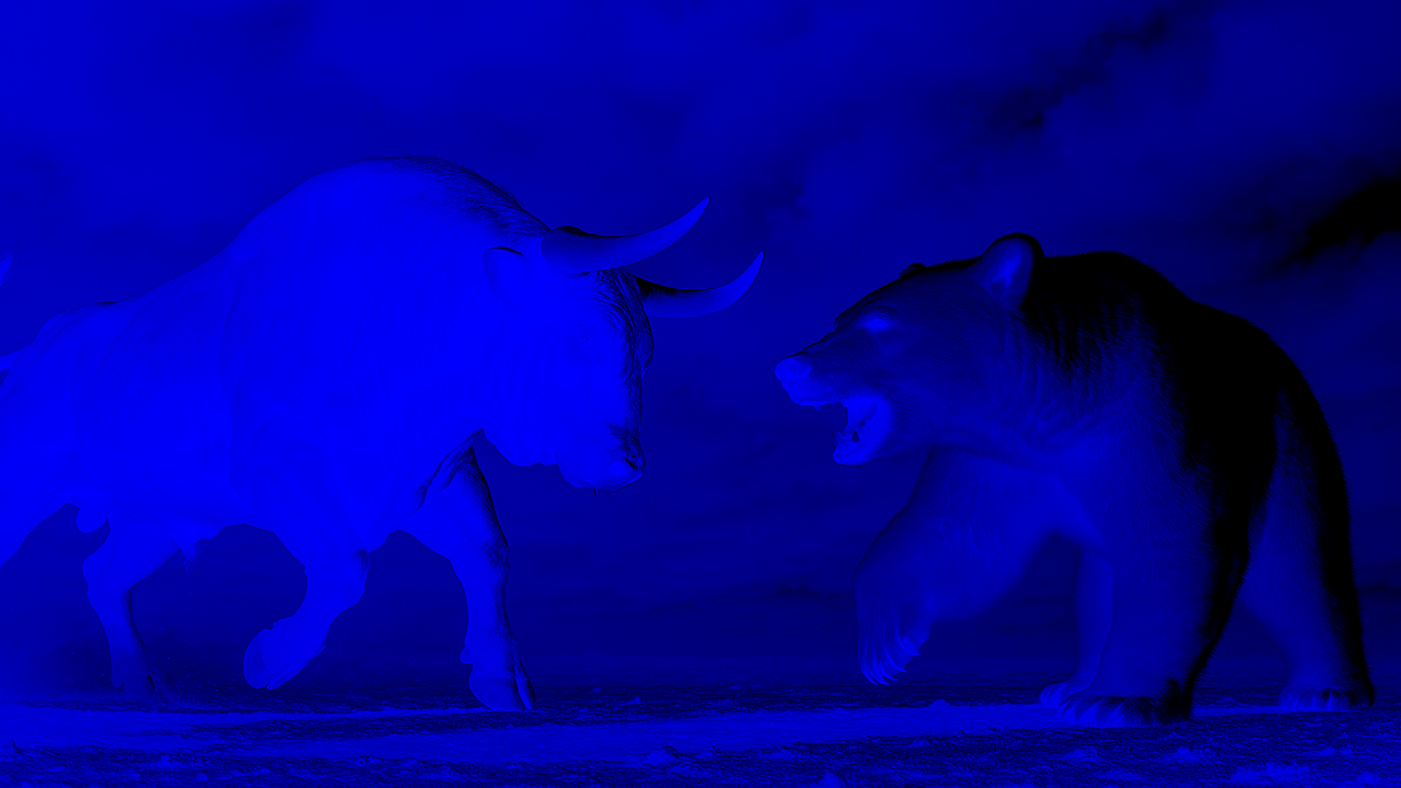 bear-vs-bull.png