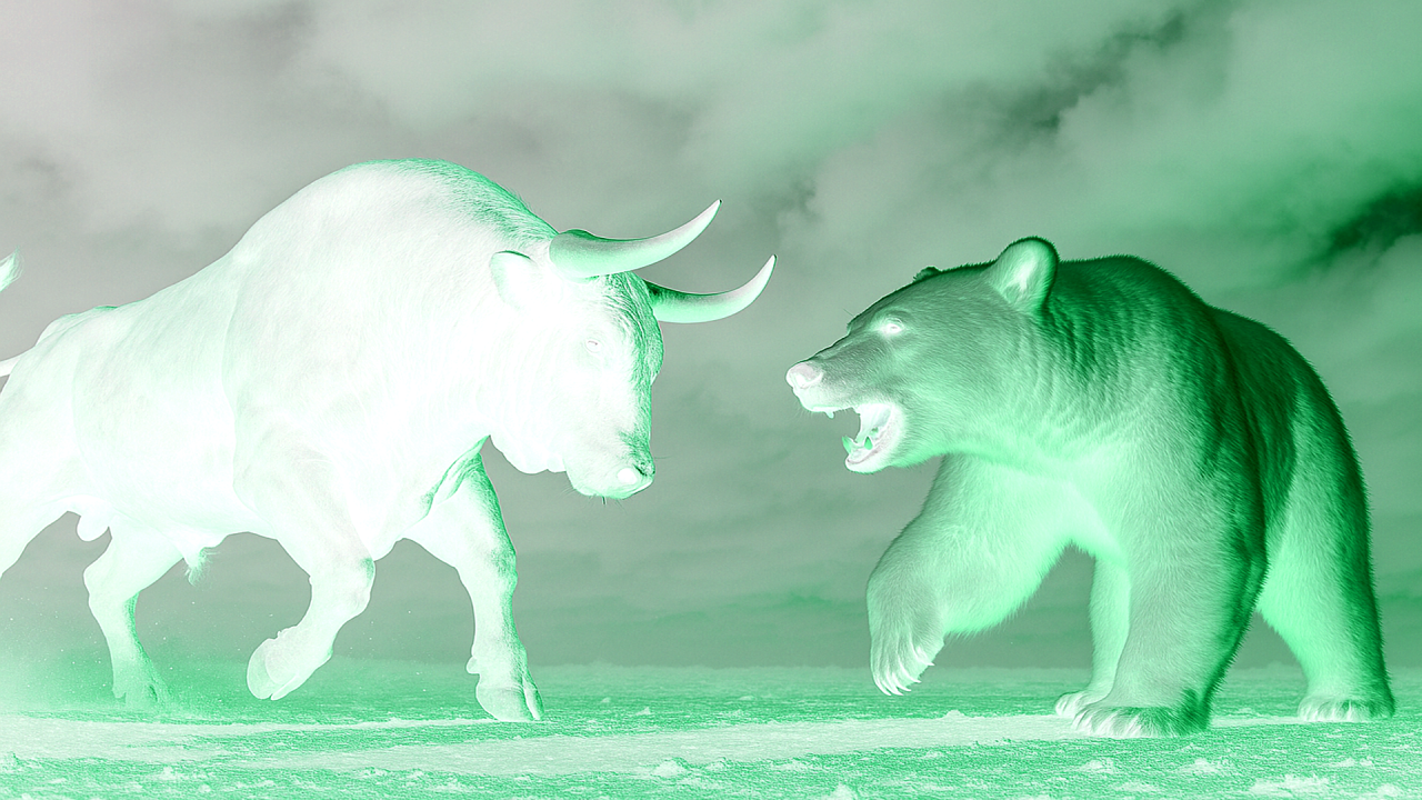 bear-vs-bull.png