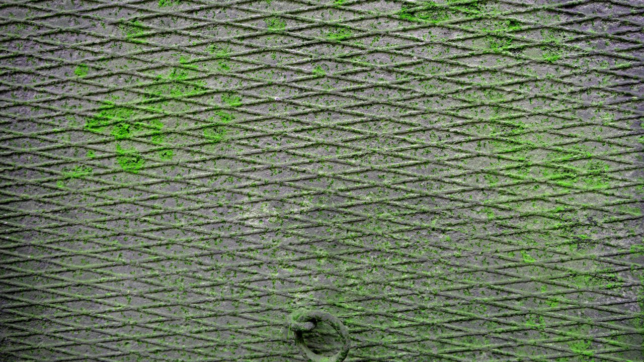 grunge-texture.png