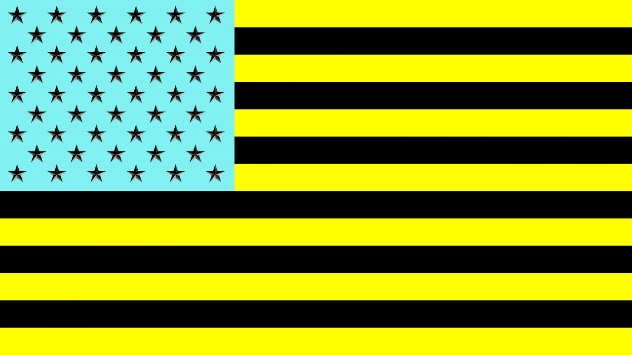 united-states-flag.png