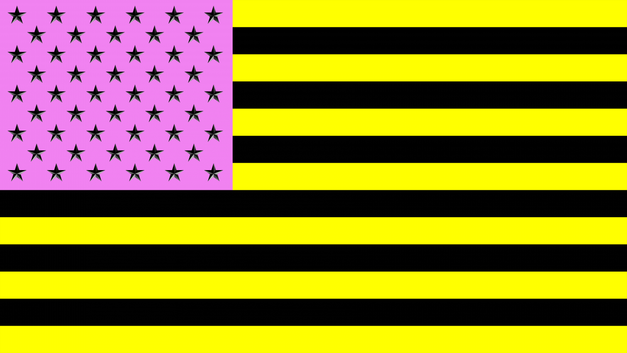 united-states-flag.png